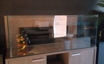 Aquaria van wolferen