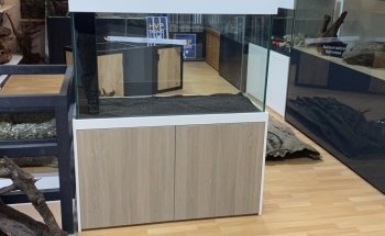 Aquaria van wolferen