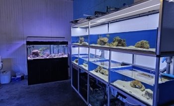 Ocean Art Biotechnology