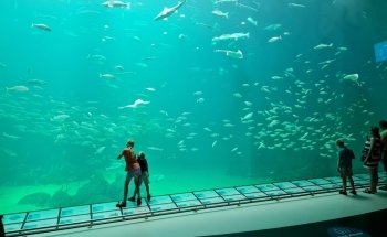 The North Sea Oceanarium