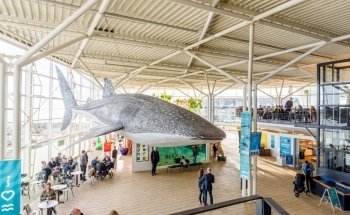 Kattegatcentret