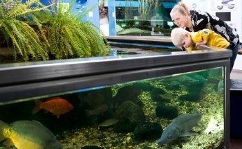 AQUA Aquarium & Wildlife Park