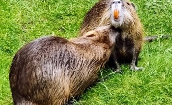 AQUA Aquarium & Wildlife Park