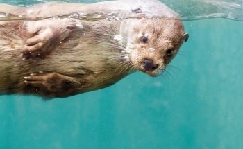 AQUA Aquarium & Wildlife Park