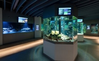 Øresund Aquarium