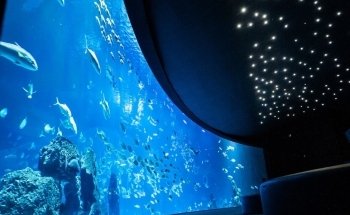 Poem of the Sea Aquarium