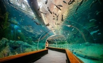 Poema del Mar Aquarium