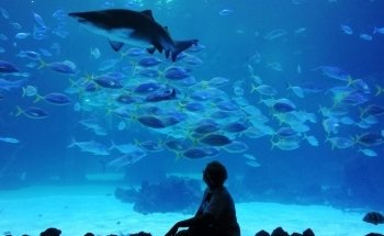 Poema del Mar Aquarium