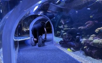 Poema del Mar Aquarium