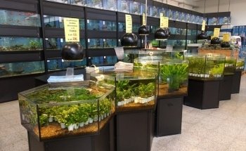 Pet Hollywood Pet Store