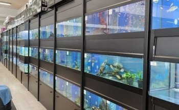 Pet Hollywood Pet Store