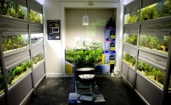 Akvariebutikken Fik'ken
