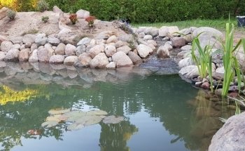 Hyggefisken