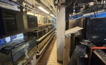 Marinbiologisk Laboratorium, Københavns Universitet