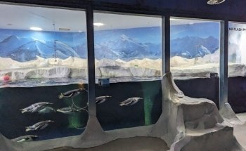Dingle Oceanworld Aquarium