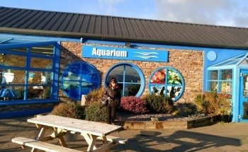 Dingle Oceanworld Aquarium