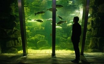 Galway Atlantaquaria