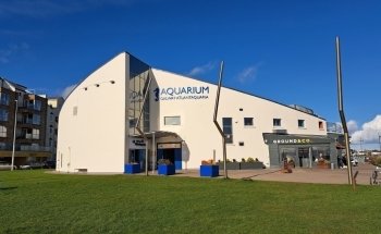 Galway Atlantaquaria