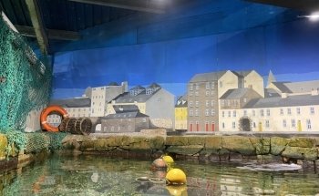 Galway Atlantaquaria