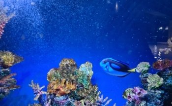Galway Atlantaquaria