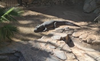 Palmitos Park
