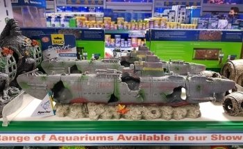 Seahorse Aquariums
