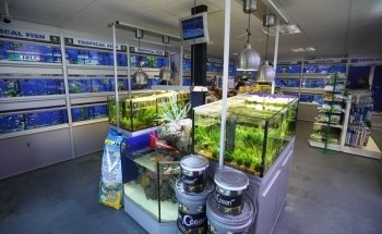 Seahorse Aquariums