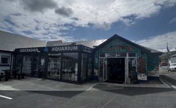 The Achill Experience Aquarium & Visitor Centre