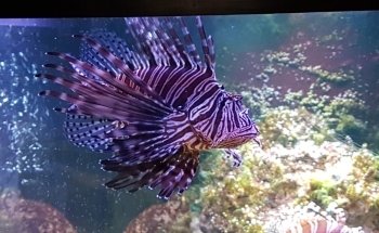 The Achill Experience Aquarium & Visitor Centre
