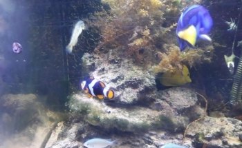 The Achill Experience Aquarium & Visitor Centre