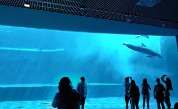 Aquarium of Genoa