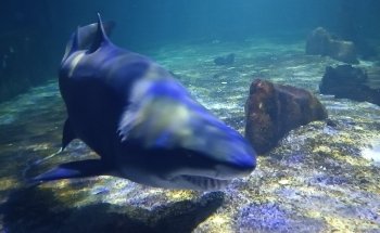 Tropicarium Park