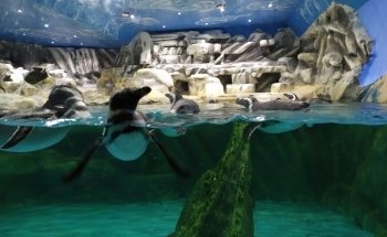 Tropicarium Park