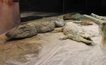 Tropicarium Park