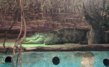 Tropicarium Park