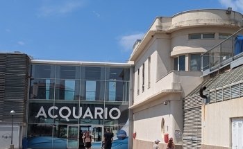 Acquario di Livorno