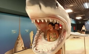 Acquario di Livorno