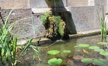 Acquario Civico e Stazione Idrobiologica di Milano