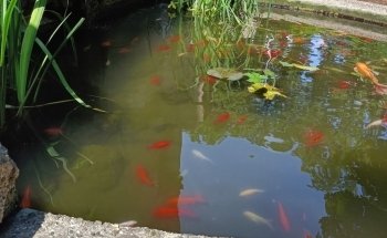 Acquario Civico e Stazione Idrobiologica di Milano