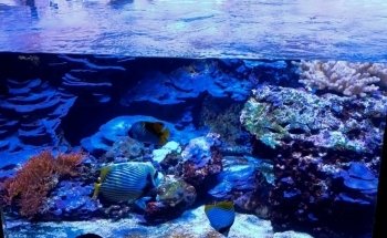 Acquario Civico e Stazione Idrobiologica di Milano