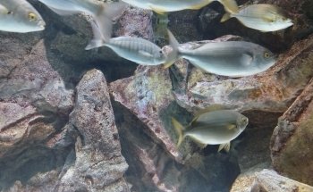 Acquario Civico e Stazione Idrobiologica di Milano