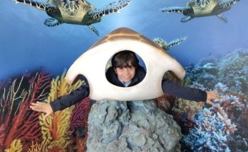 Acquario di Cala Gonone