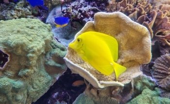 Acquario di Cala Gonone