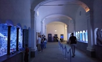 Aquarium of Naples