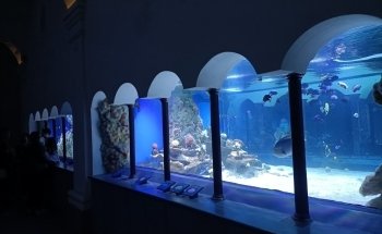 Aquarium of Naples