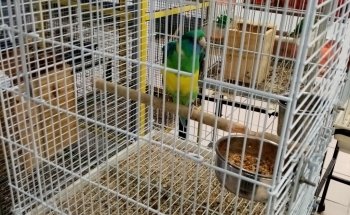 ZooQuark Salerno