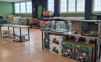 Acquari e Accessori Aquaplantarum in Torino