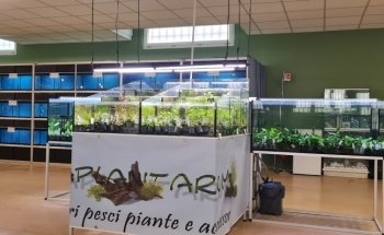 Aquariums and Accessories Aquaplantarum in Turin