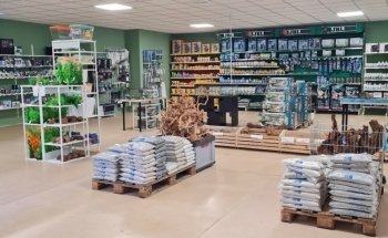 Acquari e Accessori Aquaplantarum in Torino