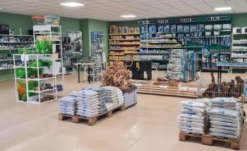 Acquari e Accessori Aquaplantarum in Torino
